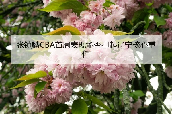 张镇麟CBA首周表现能否担起辽宁核心重任（JiuyouSports）